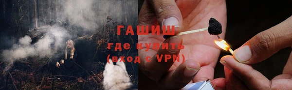 ГАЛЛЮЦИНОГЕННЫЕ ГРИБЫ Алексин