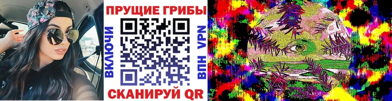 мега ONION  купить закладку  Арамиль  Галлюциногенные грибы мицелий 